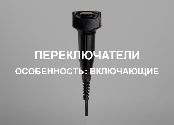 Особенность: Включающие